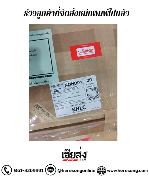 256305123_1