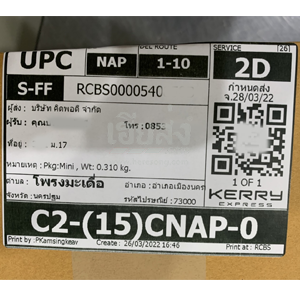 %e0%b8%99%e0%b8%84%e0%b8%a3%e0%b8%9b%e0%b8%90%e0%b8%a1-256503284-04