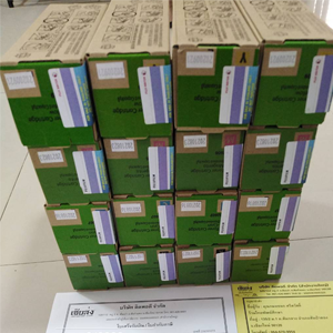 %e0%b9%80%e0%b8%8a%e0%b8%b5%e0%b8%a2%e0%b8%87%e0%b9%83%e0%b8%ab%e0%b8%a1%e0%b9%88-256503273-02